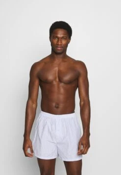 Pier One 5 Pack - Boxer- Light Blue/White 10 Pier One 5 Pack - Boxer- Light Blue/White -Noble rain 139342f1516744e4937742c5f01eeccb