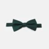 Pier One PapillonDark Green Uomo Cravatte E Accessori PI952R02V-M11